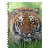 Notebooktiger Notizblock (Vorderseite)