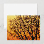 Notecard 1 postkarte (Vorne/Hinten)