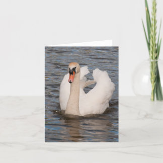 Notecard: "Anmut-" männlicher stummer Schwan Karte