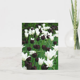 Notecard "Black and White Tulips" Karte