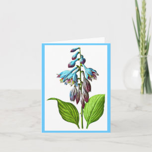 Notecard-Botanicals-Pierre Joseph Redoute 17 Karte
