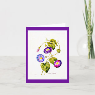 Notecard-Botanicals-Pierre Joseph Redoute 6 Karte