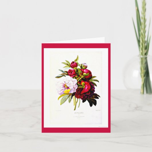 Notecard-Botanicals-Pierre Joseph Redoute 7 Karte (Vorderseite)