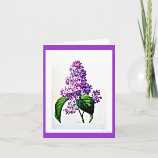 Notecard-Botanicals-Pierre Joseph Redoute 8 Karte (Vorderseite)