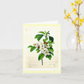 Notecard-Botanicals-Pierre Joseph Redoute 9 Karte (Gelbe Blume)