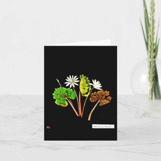Notecard-Botanische Kunst-Mary-Delany 13 Karte (Vorderseite)