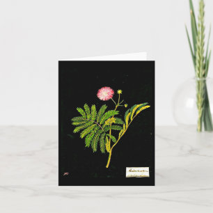 Notecard-Botanische Kunst-Mary-Delany 15 Karte