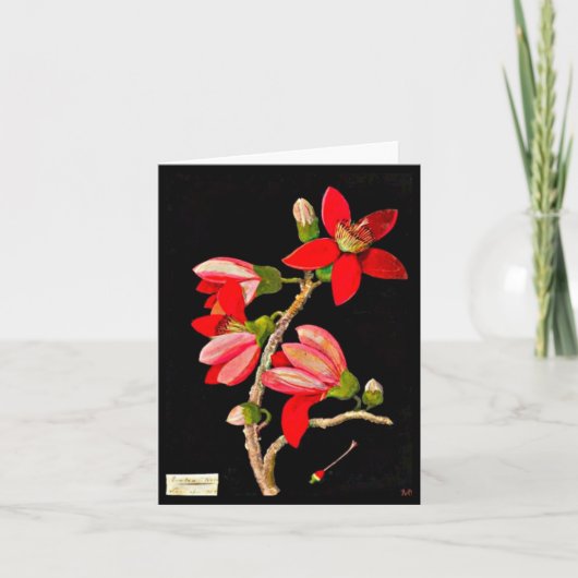 Notecard-Botanische Kunst-Mary Delany 17 Karte (Vorderseite)