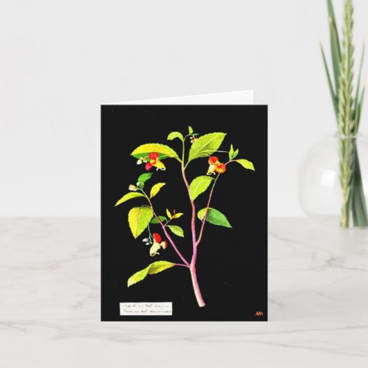 Notecard-Botanische Kunst-Mary-Delany 7 Karte (Vorderseite)
