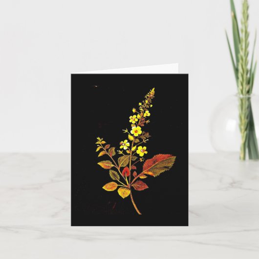 Notecard-Botanische Kunst-Mary-Delany 8 Karte (Vorderseite)