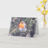 Notecard: Britischer Robin Karte (Gelbe Blume)
