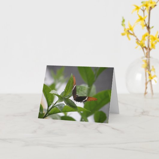 notecard butterfly1 karte (Gelbe Blume)