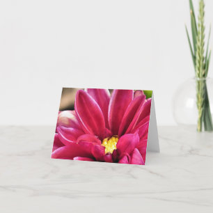 Notecard - Dahlia-Schließung Karte