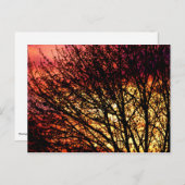 Notecard für Abend-LED Postkarte (Vorne/Hinten)