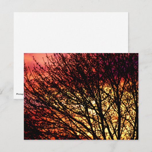 Notecard für Abend-LED Postkarte (Vorne/Hinten)