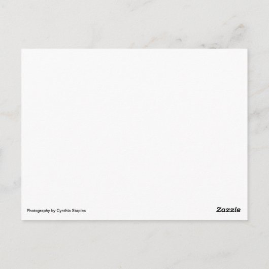 Notecard für Abend-LED Postkarte (Rückseite)