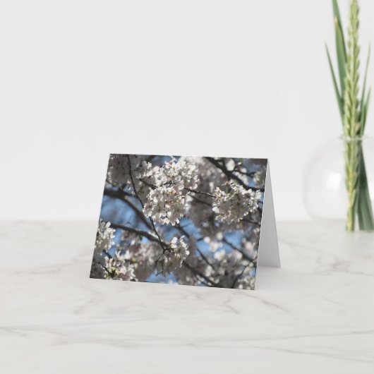 Notecard für beleuchtete Kirschblüten Dankeskarte (Vorderseite)