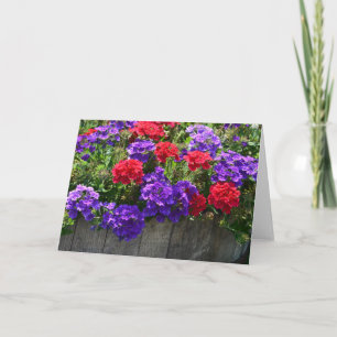Notecard für lila und rote Blume Karte