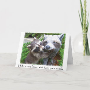 Notecard für Raccoon-Freunde Karte