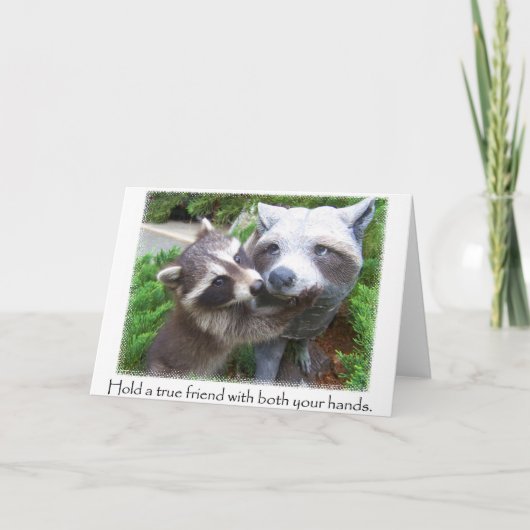 Notecard für Raccoon-Freunde Karte (Vorderseite)