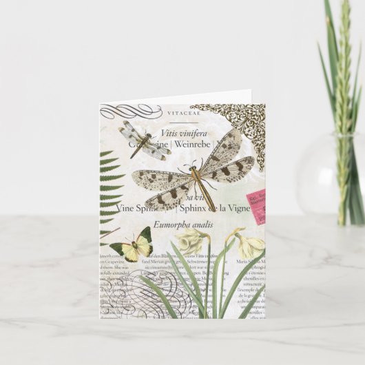 Notecard für Vintage Libellen Karte (Vorderseite)