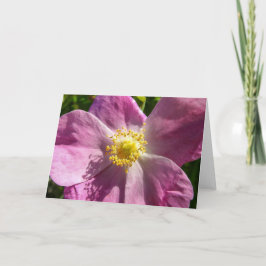 Notecard für wild lebende Rose Karte