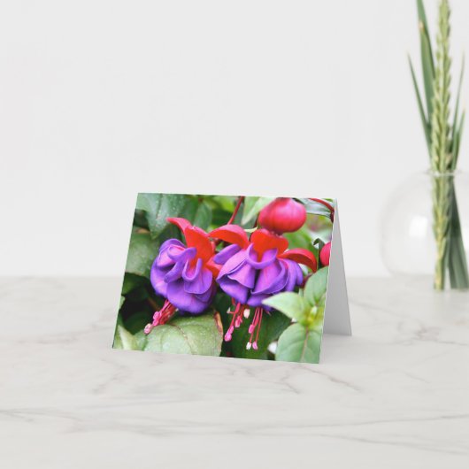 Notecard Fuschia Karte (Vorderseite)