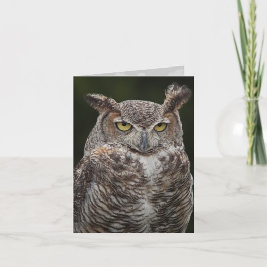 Notecard Horned Owl Karte (Vorderseite)