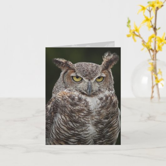 Notecard Horned Owl Karte (Gelbe Blume)