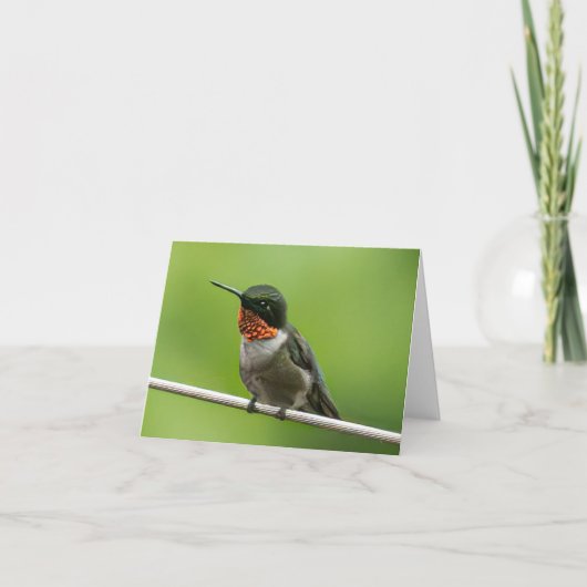 Notecard Hummingbird Dankeskarte (Vorderseite)