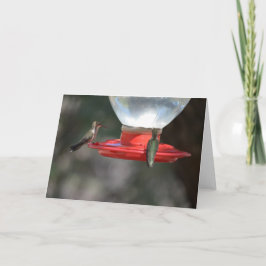 Notecard Hummingbird Karte