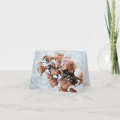 Notecard - Hydrangea im Winter (Vorderseite)