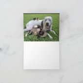 NOTECARD-IT IST SPASS, WISSEN IHRE HAUSTIERE SPREC KARTE (Innenseite)