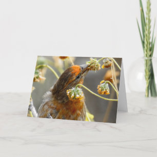 Notecard Karte