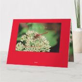 Notecard Karte (Rückseite)