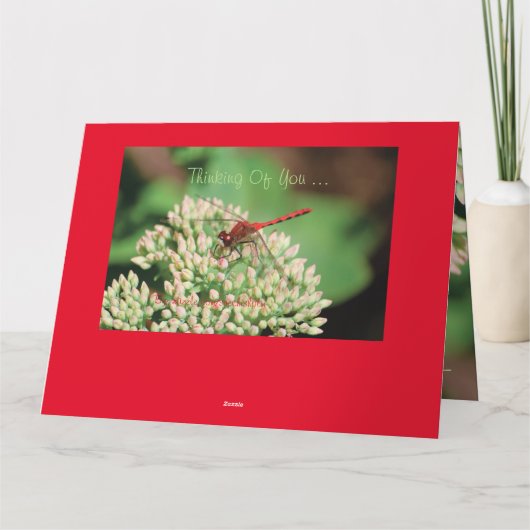 Notecard Karte (Rückseite)