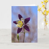 Notecard mit Erinnerung Columbine Karte (Gelbe Blume)