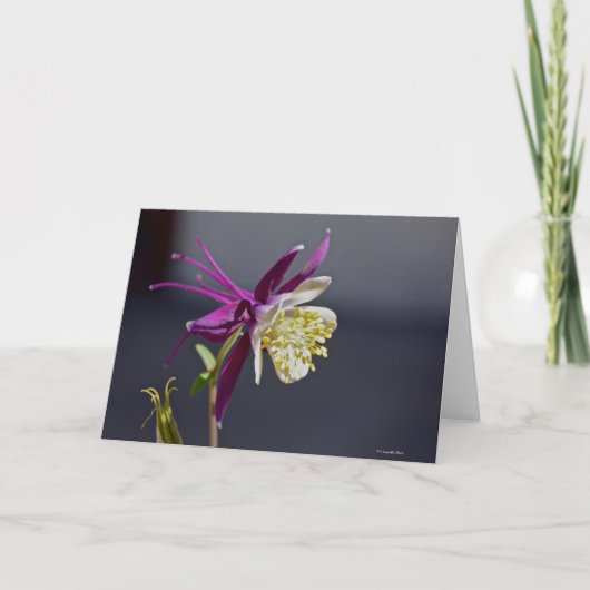 Notecard mit Erinnerungs-Columbine-Blume Karte (Vorderseite)