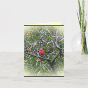 Notecard mit NordKardinal Karte