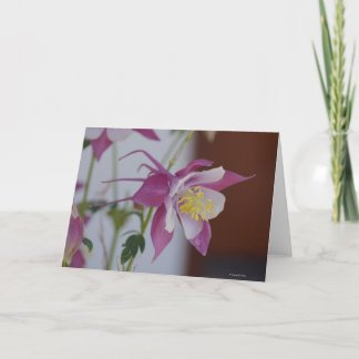 Notecard mit Singvogel Columbine Karte
