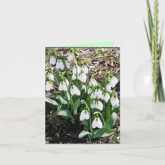 Notecard mit Snowdrops! Karte (Vorderseite)