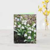 Notecard mit Snowdrops! Karte (Gelbe Blume)