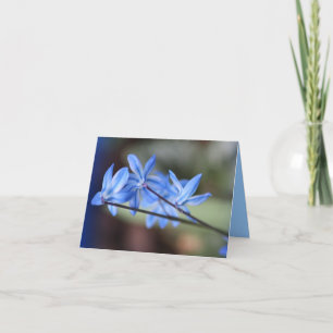 Notecard mit Variegated Scilla Karte