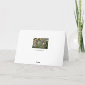Notecard mit wildem Krokus Karte (Rückseite)