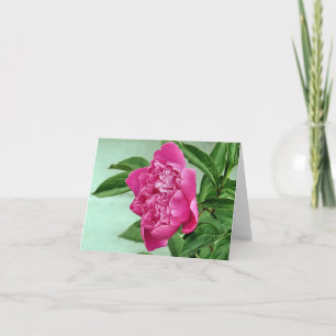 Notecard - Peony Karte