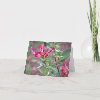 notecard pinkflower karte