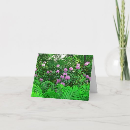 NOTECARD "RHODODENDRON & FERNS" KARTE (Vorderseite)