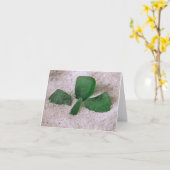 Notecard - Seeglattdecke Karte (Gelbe Blume)