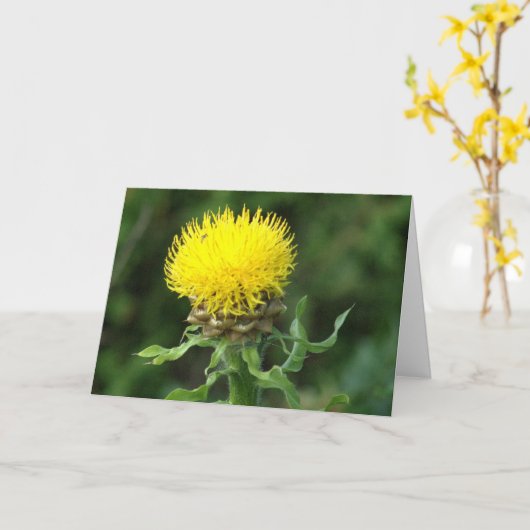 notecard, Spaß "Wie geht es dir? Karte (Gelbe Blume)