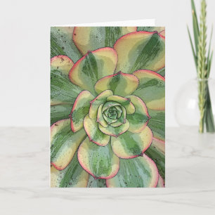 Notecard "Sunburst" Karte